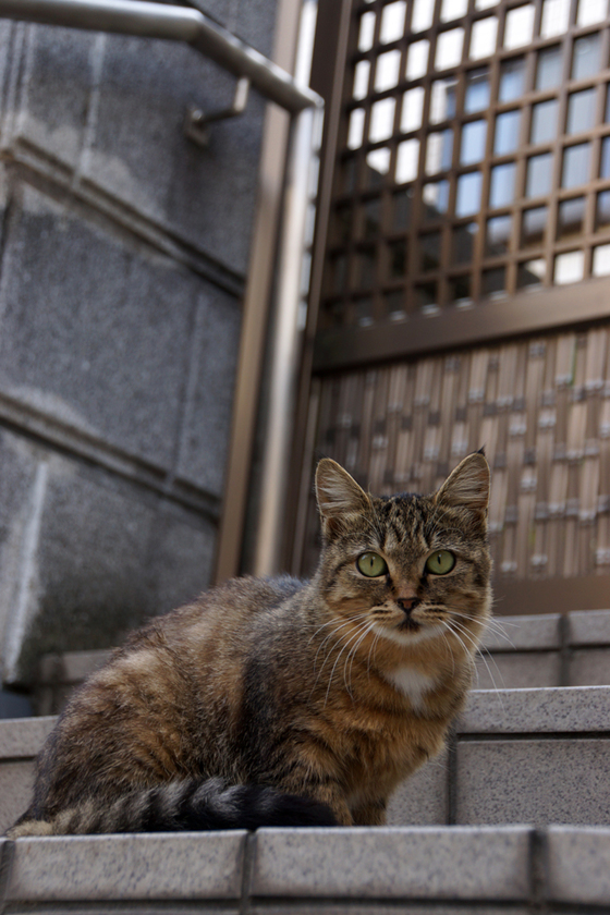 DSC05727_20121008.JPG