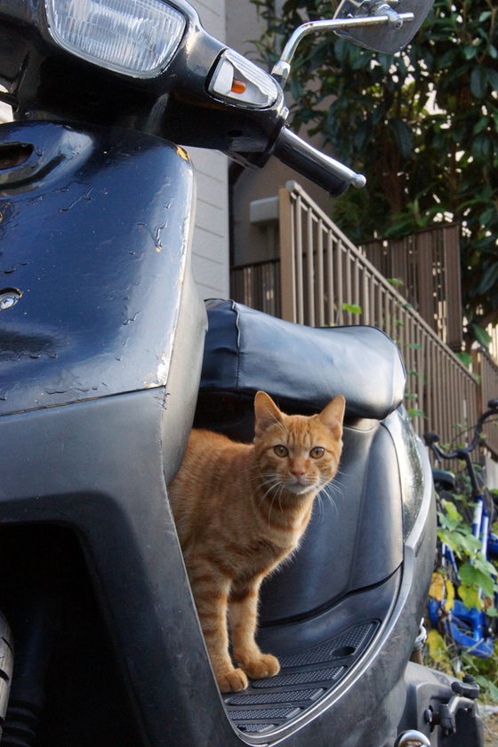DSC05859_20121008.JPG