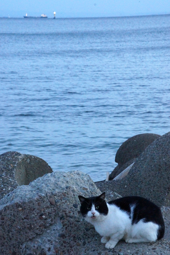 DSC05950_20121008.JPG