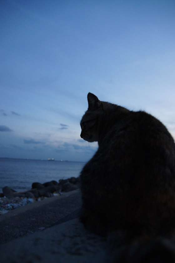 DSC05980_20121008.JPG