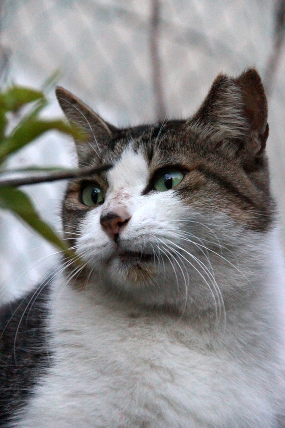 DSC06042_20121009.JPG