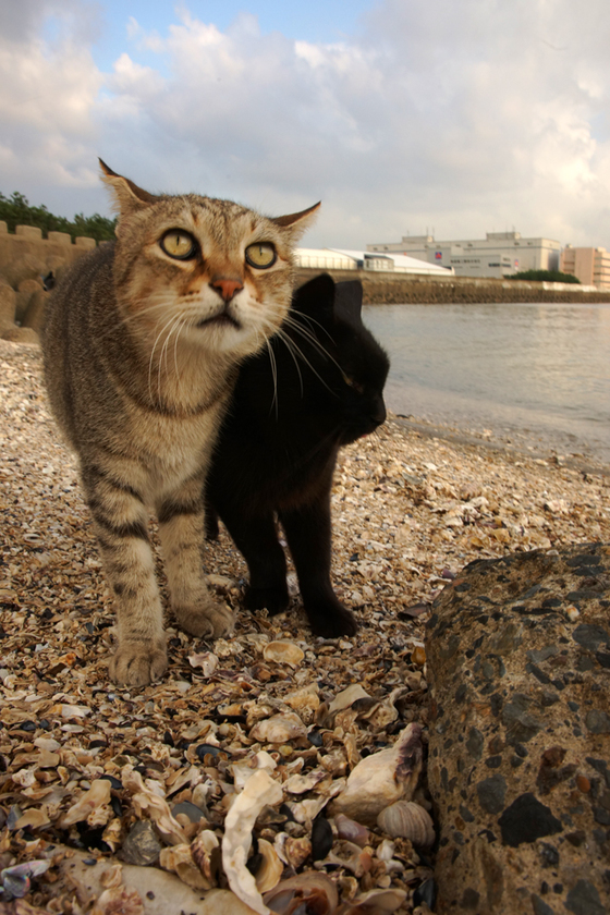 DSC02869_20130924.JPG