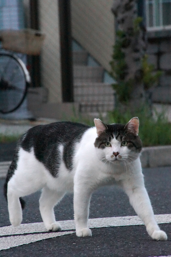 DSC02932_20130924.JPG