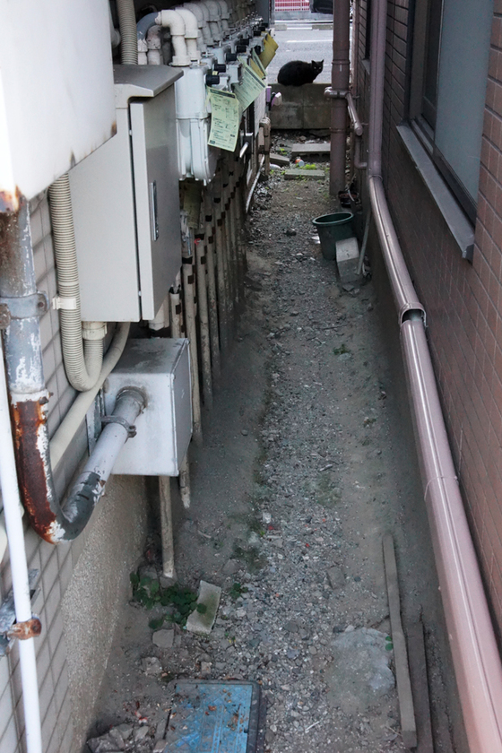 DSC00150_20131205.JPG