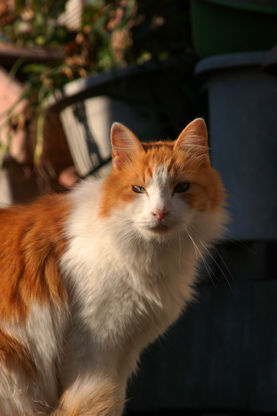 DSC00169_20131205.JPG