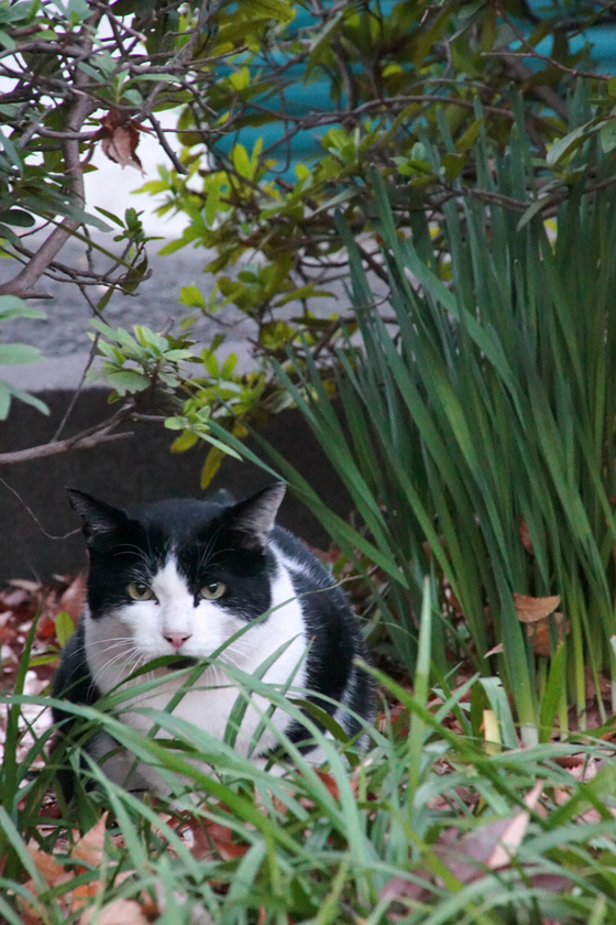 DSC09313_20131201.JPG