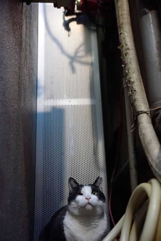 DSC09366_20131201.JPG
