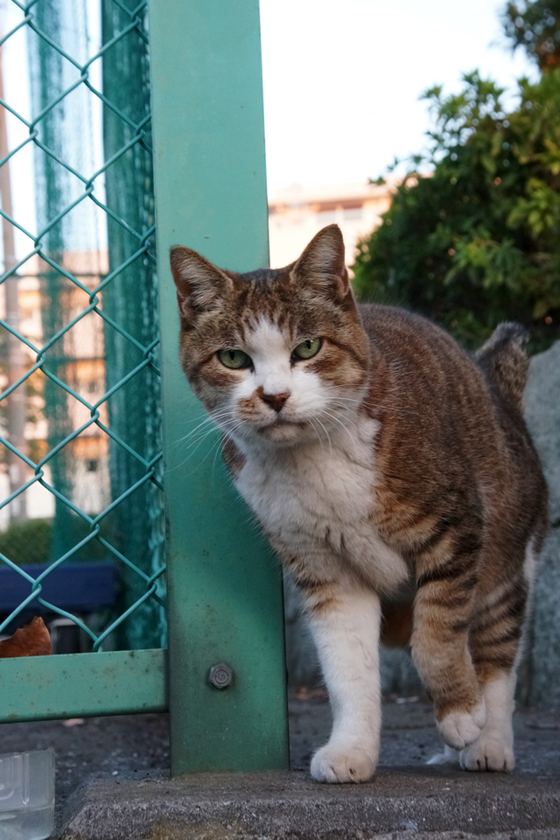 DSC09793_20131203.JPG