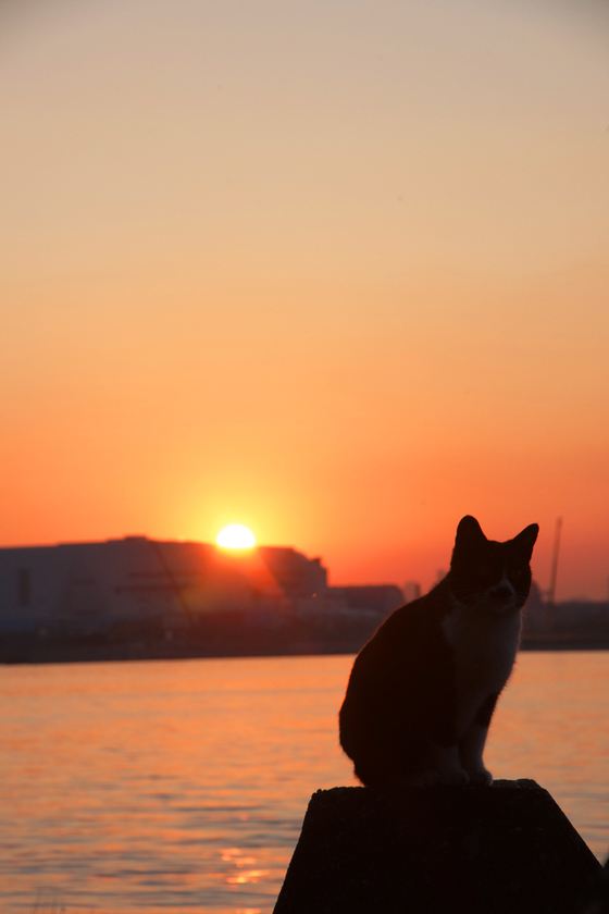 DSC09806_20131203.JPG