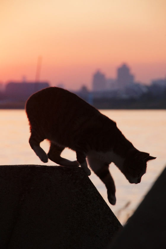 DSC09833_20131203.JPG