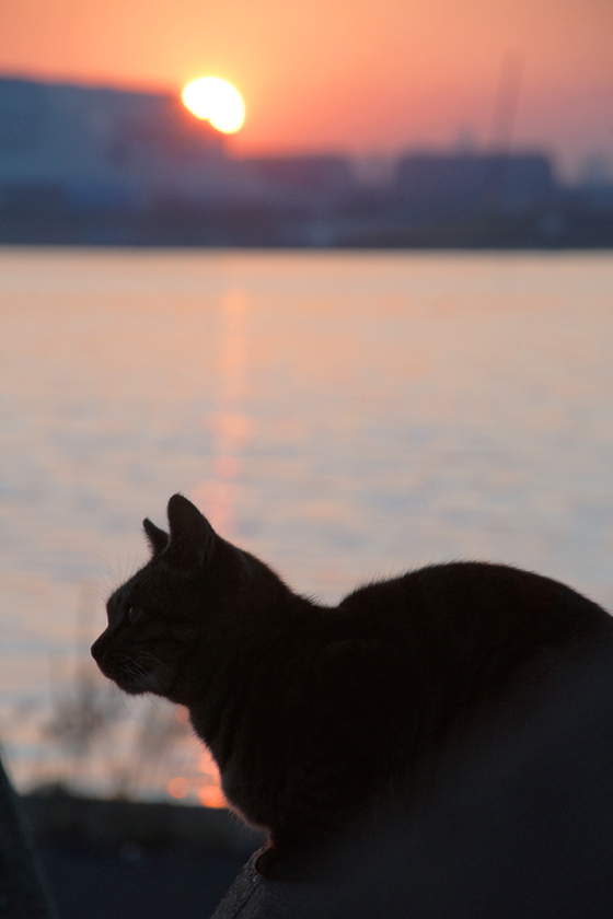 DSC09834_20131203.JPG