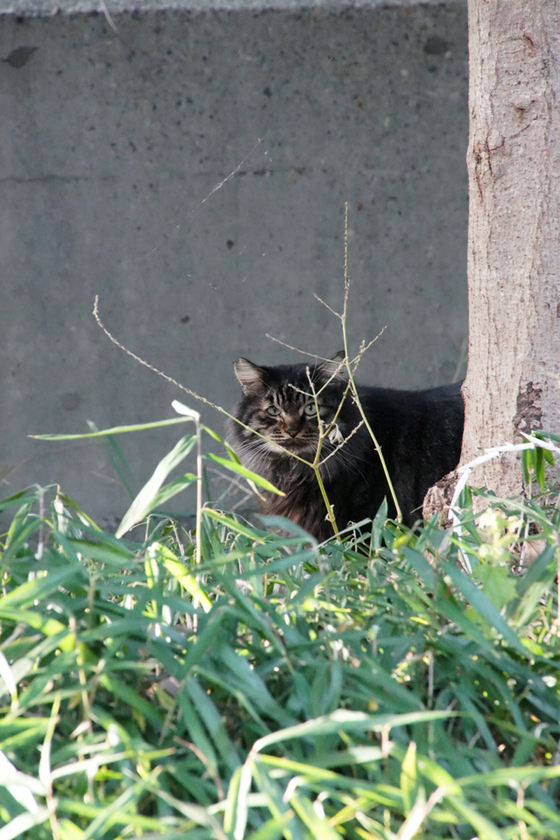 DSC01879_a99_20131216.JPG