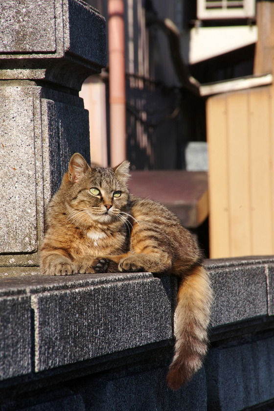 DSC07270_20140427.JPG