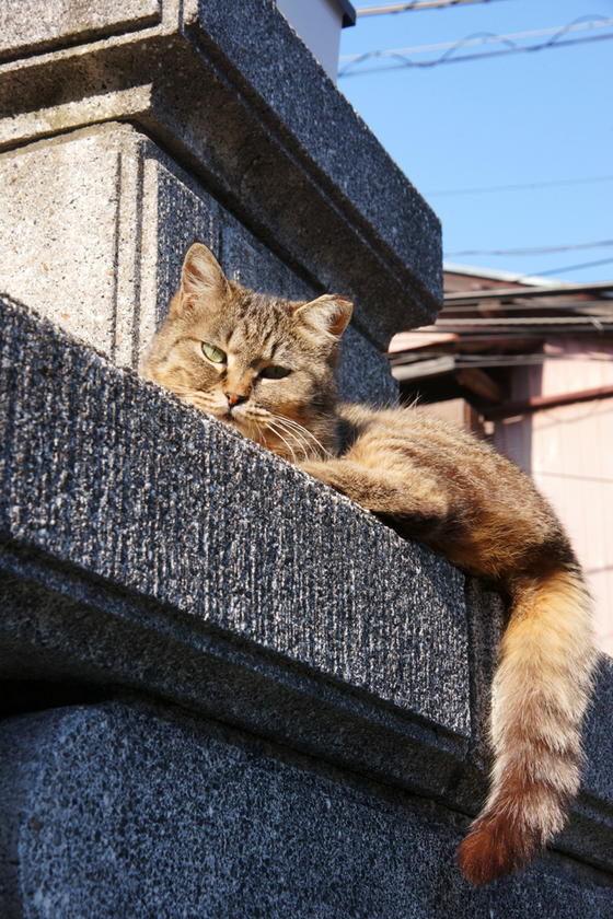 DSC07276_20140427.JPG