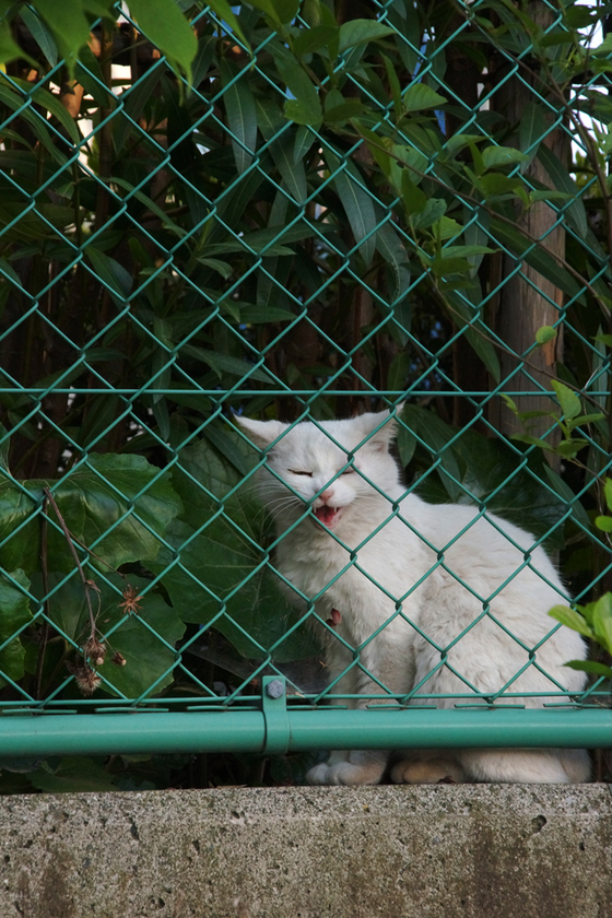 DSC07355_20140427.JPG