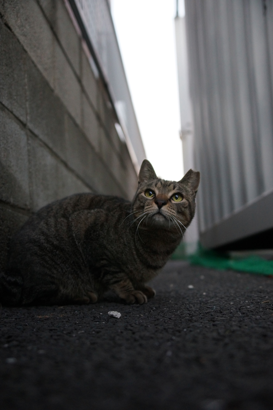DSC09288_20151219.jpg