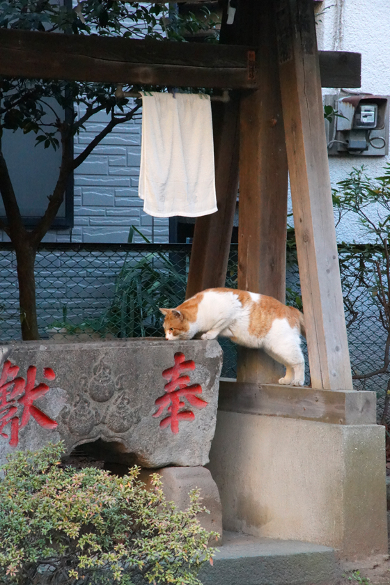 DSC00144_20160127.jpg