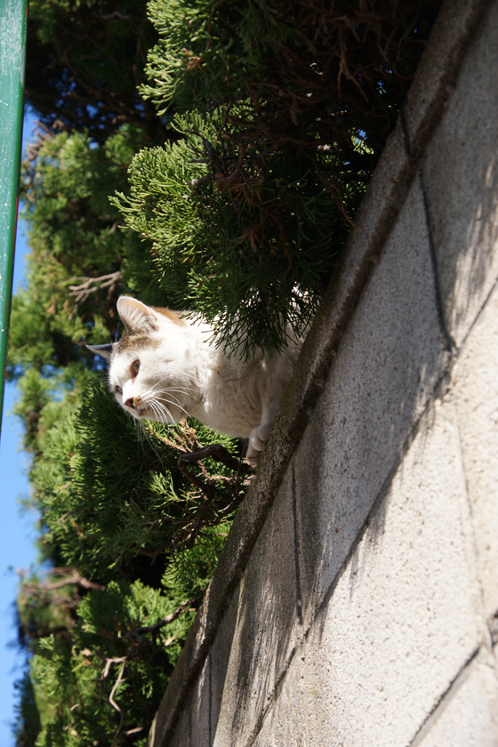 DSC00397_20160124.jpg