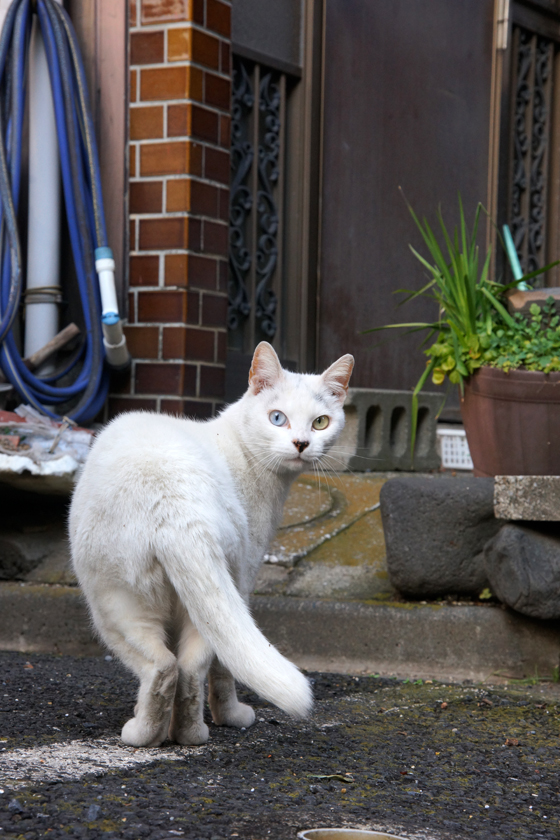 DSC00490_20160131.jpg