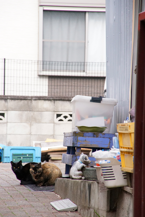DSC00892_20160201.jpg