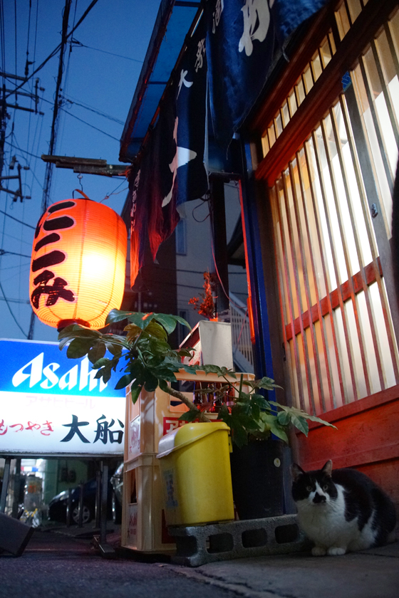 DSC03702_20160225.jpg
