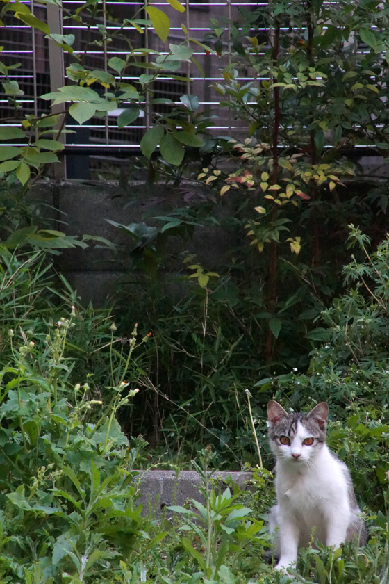 DSC00073_20160507.jpg