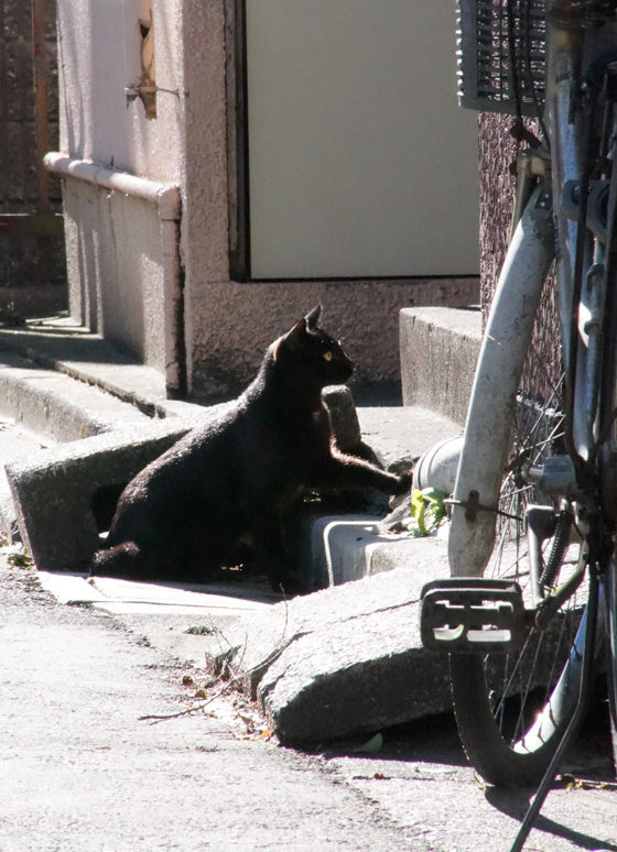 DSC01082_20160512.jpg